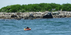 Kayak at Sea